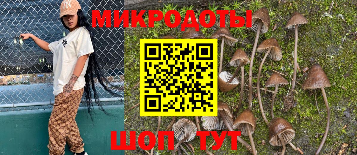 Усолье-Сибирское  Псилоцибиновые грибы Magic Shrooms  наркотики  Вход с VPN 