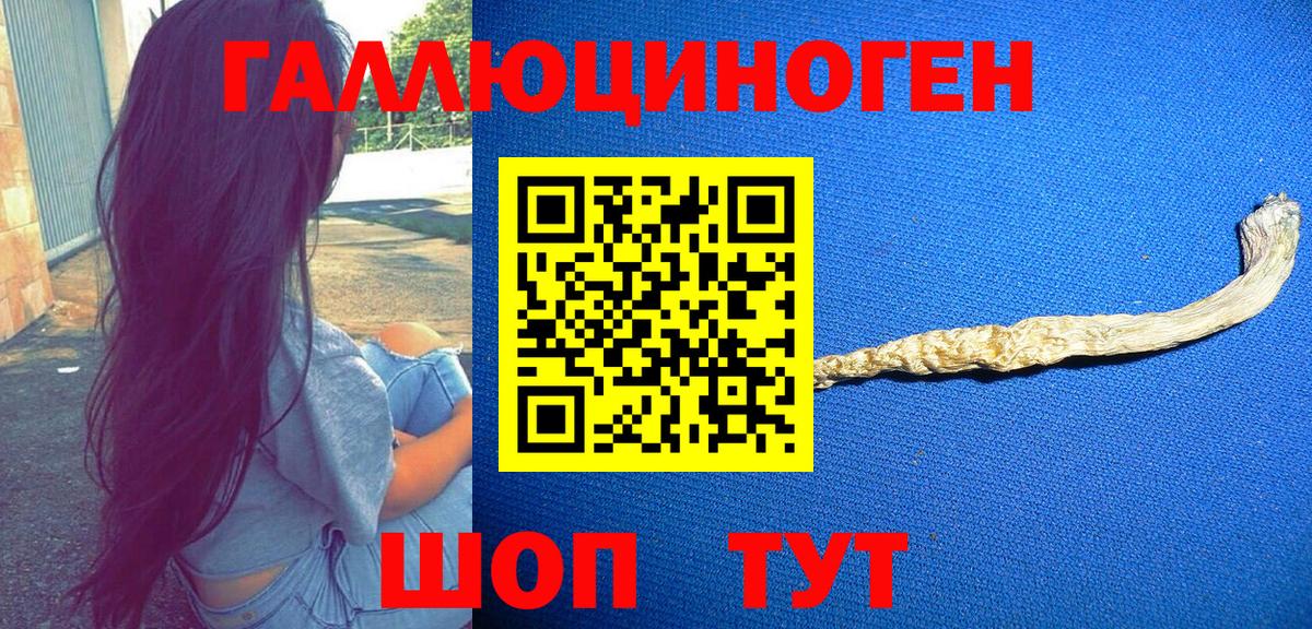 Псилоцибиновые грибы MAGIC MUSHROOMS Усолье-Сибирское